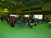 summit088_thumb.jpg