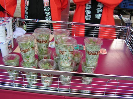 PICT0166