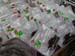 PICT0112