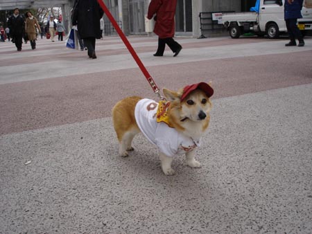 image2110