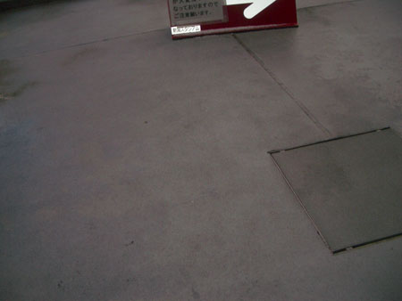IMGP4695