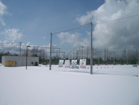 IMGP4816