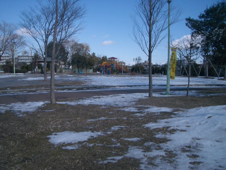 IMGP5050